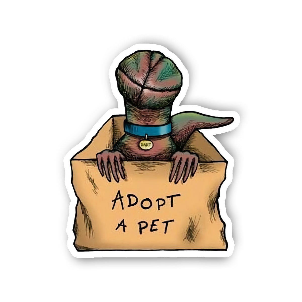 Adopt a Pet