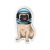 Astro Pug