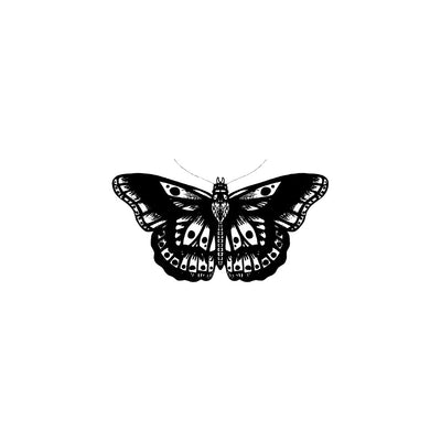 BW Butterfly