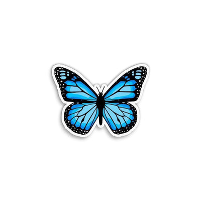 Blue Butterfly