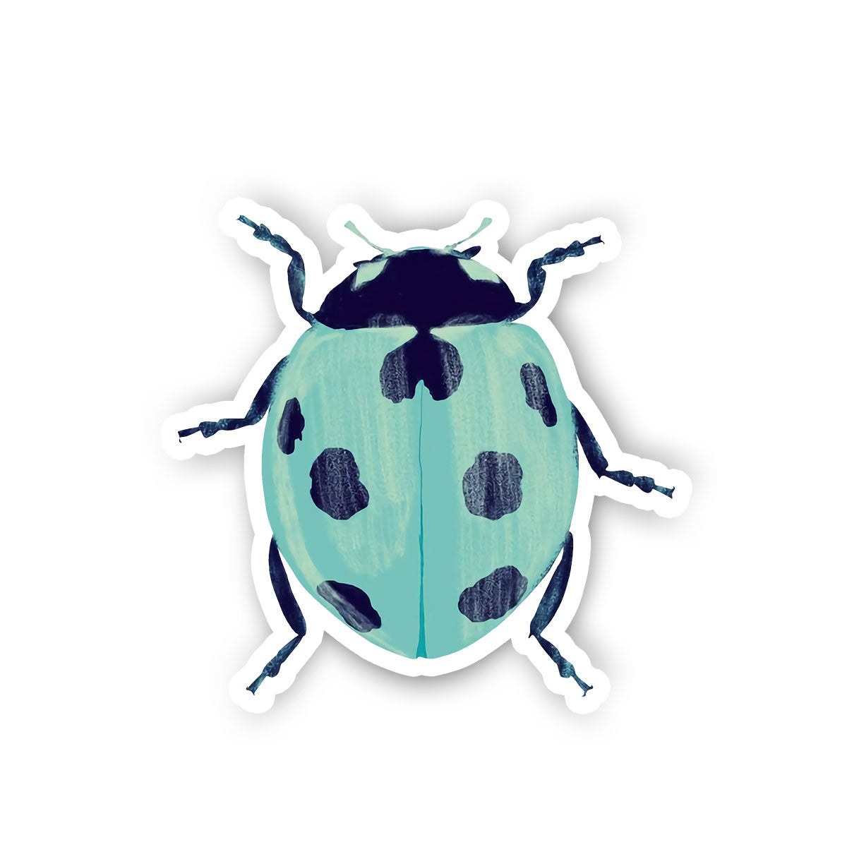 Blue Ladybug