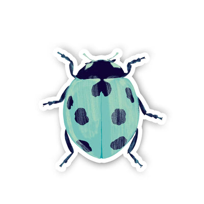 Blue Ladybug