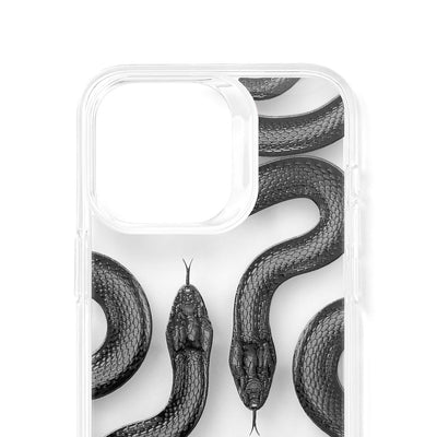 Clear Snake