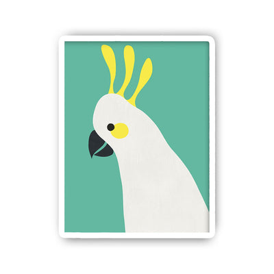 Cockatoo