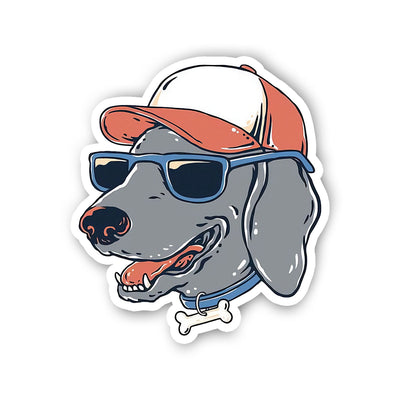 Cool Dog I