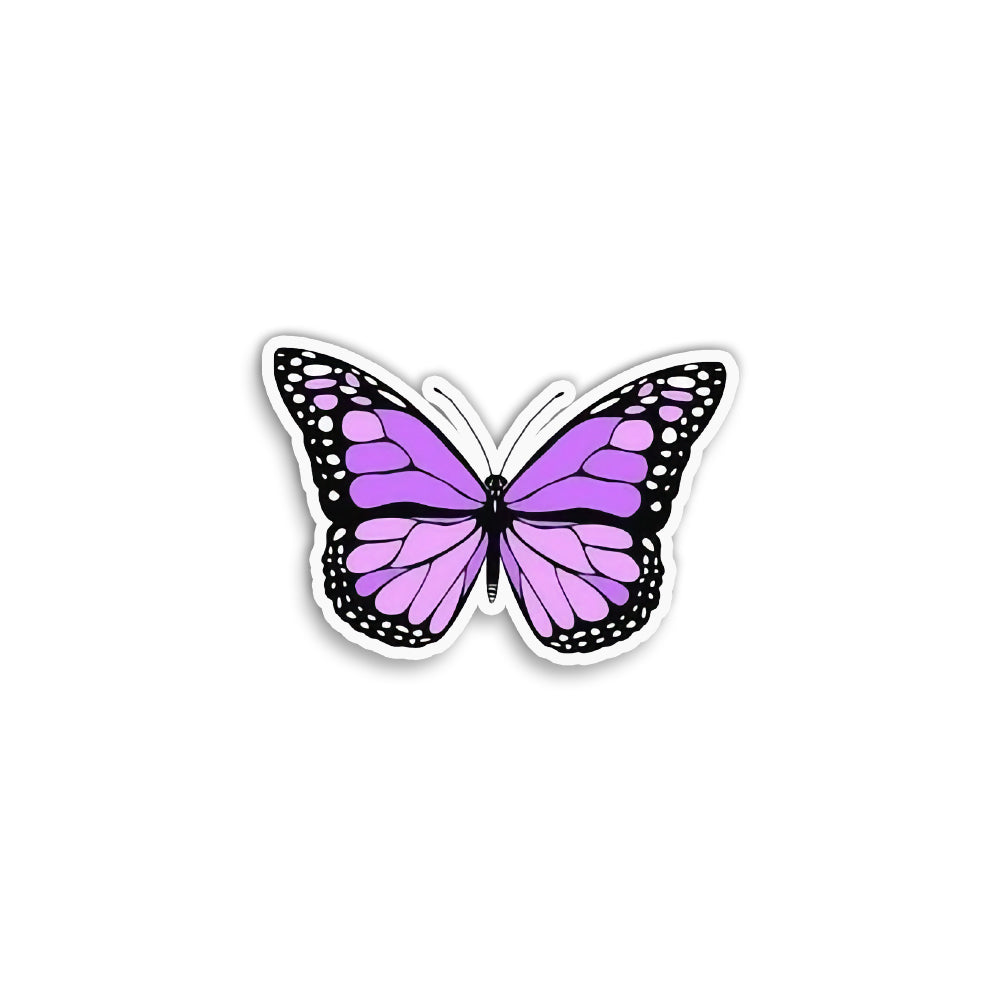 DP Butterfly