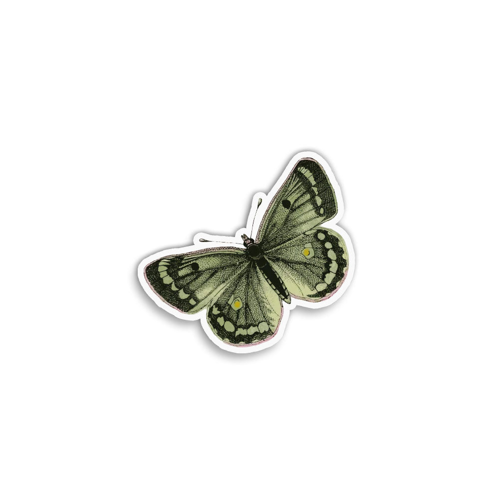 Green Butterfly