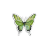 Green Butterfly II