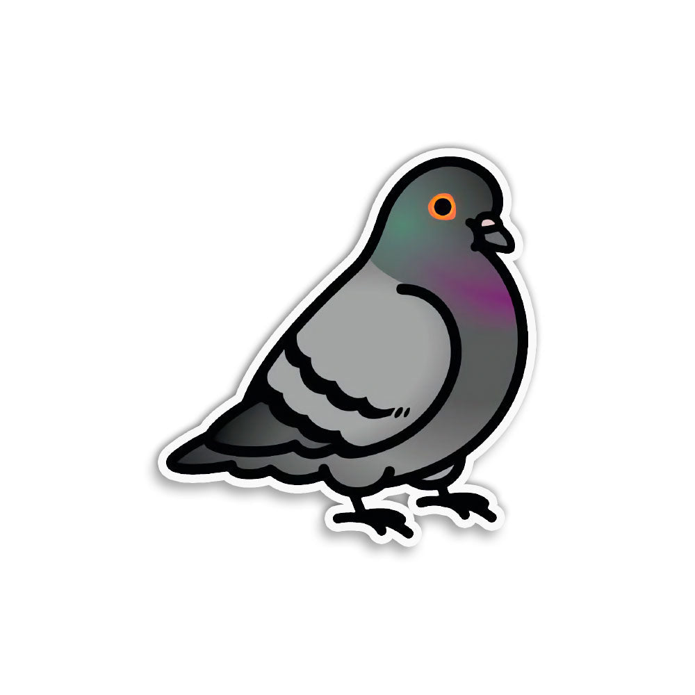 Pigeon