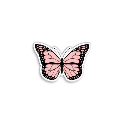 Pink Butterfly II