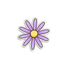 Purple Daisy