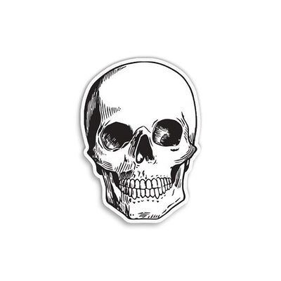 Skull bw